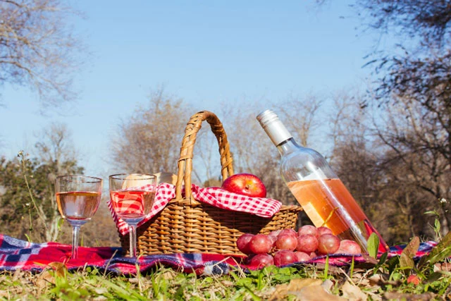 best Picnic Spots in boston